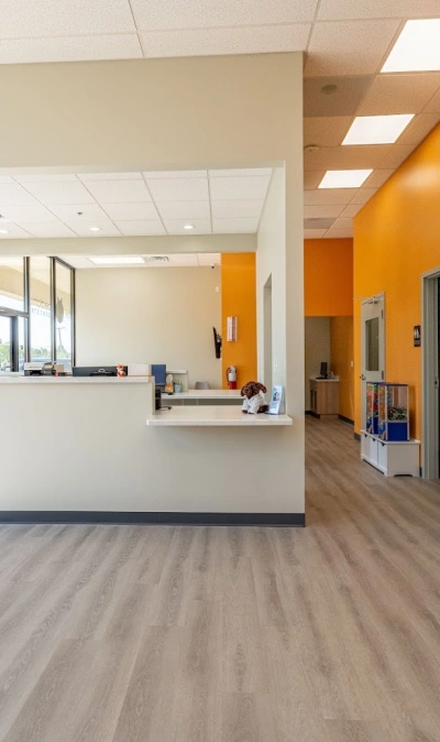 Fox Pediatric Dentistry reception area with orange accent wall and front desk